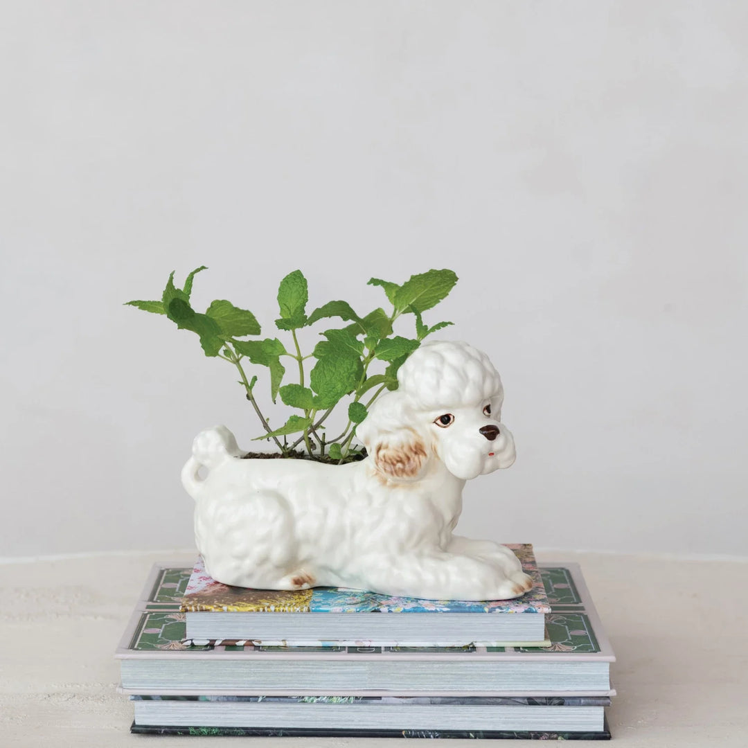 POODLE Planter