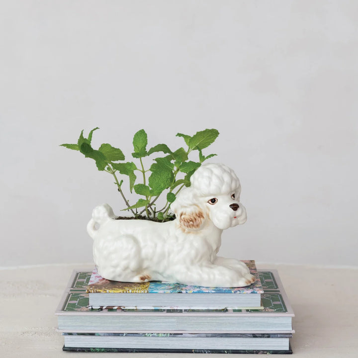POODLE Planter