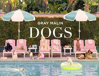 GRAY MALIN DOG Book